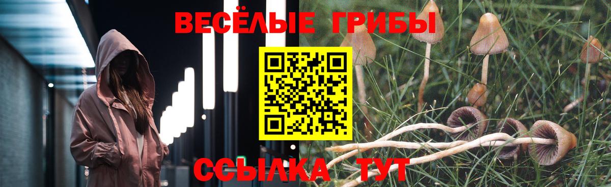 Тимашёвск  Галлюциногенные грибы Psilocybe  Вход с VPN  наркотики  Псилоцибиновые грибы мухоморы 